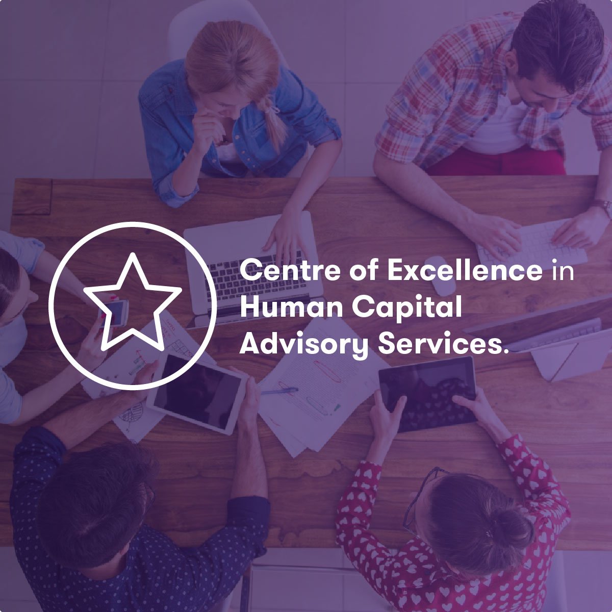 Organisational Tribe Mapping