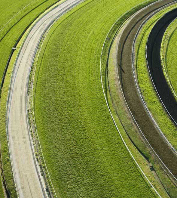 Agreement to simplify sustainability reporting and due diligence requirements