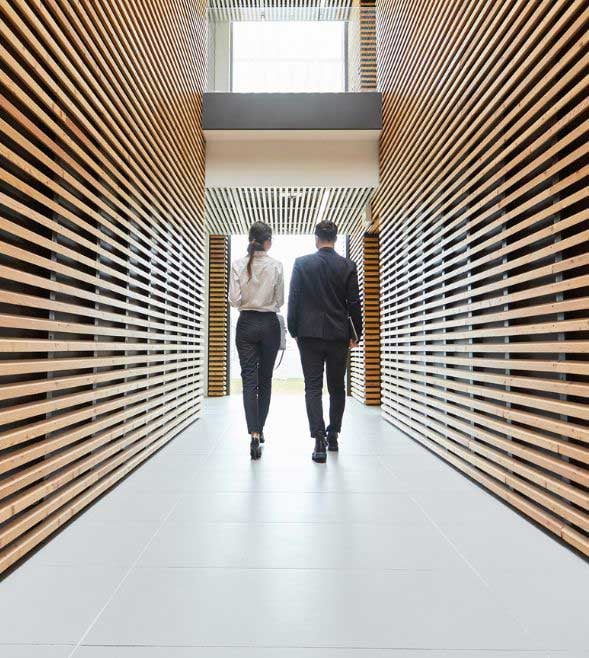 El optimismo del mercado medio repunta