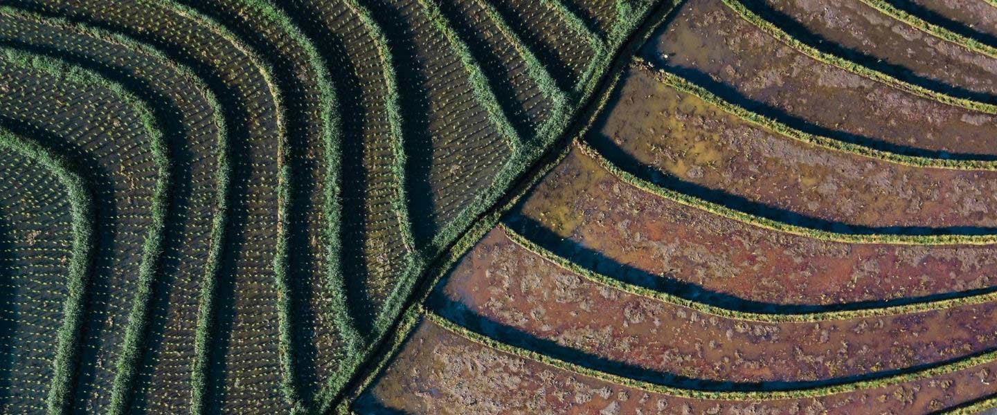 insight featured image