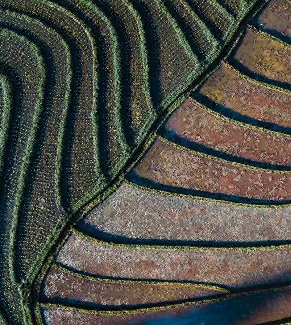 El ISSB publica enmiendas a la NIIF S2