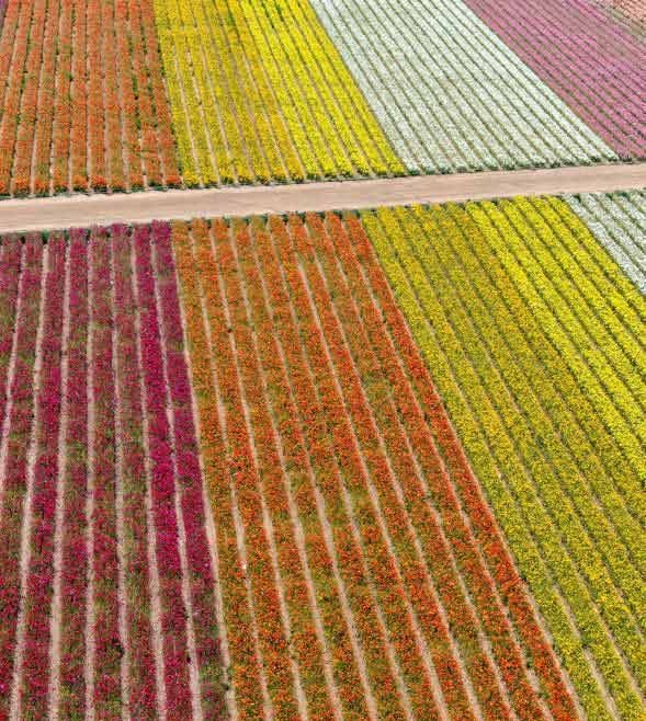 ‘Quick-fix’ amendments to the ESRS for Wave 1 entities