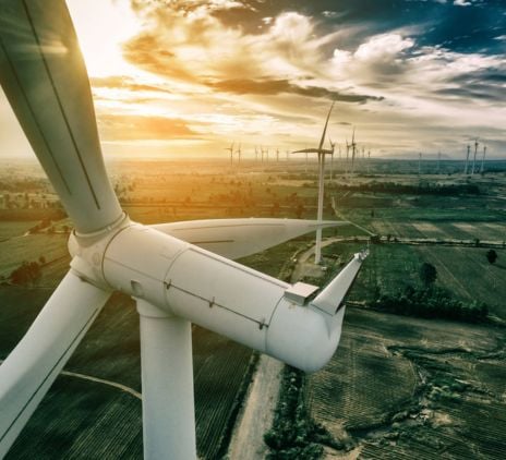 Sustentabilidad corporativa: 8 de cada 10 empresas están comprometidas