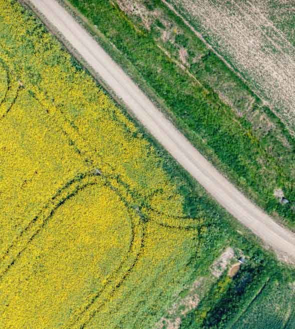 The Omnibus package – European Commission releases significant proposals to simplify EU regulations