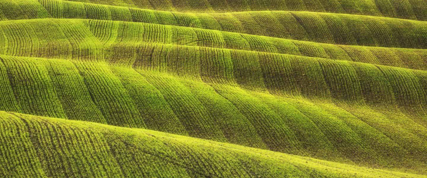 insight featured image