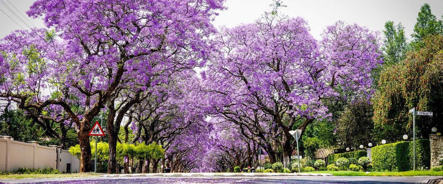 insight featured image