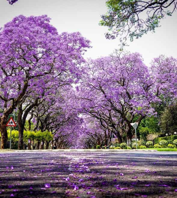 6 de cada 10 empresarios del mercado medio son optimistas