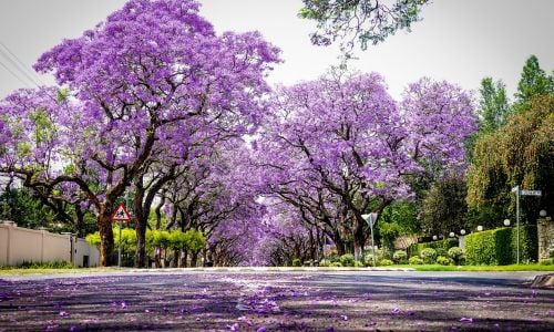 6 de cada 10 empresarios del mercado medio son optimistas