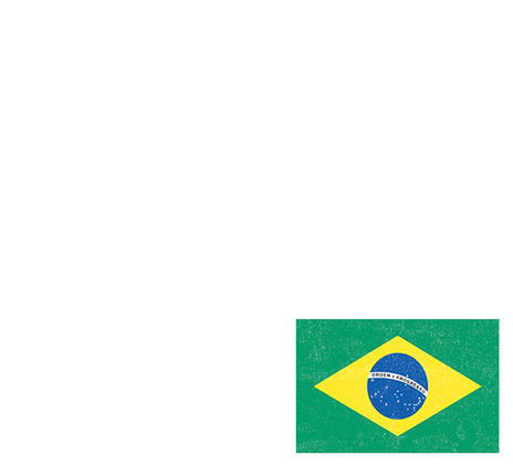 Doing business in Brazil