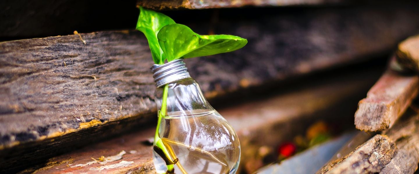 Reporte de Sustentabilidad