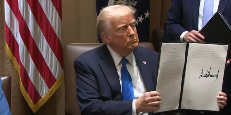 Accedé al artículo completo