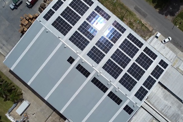 Accedé al artículo completo