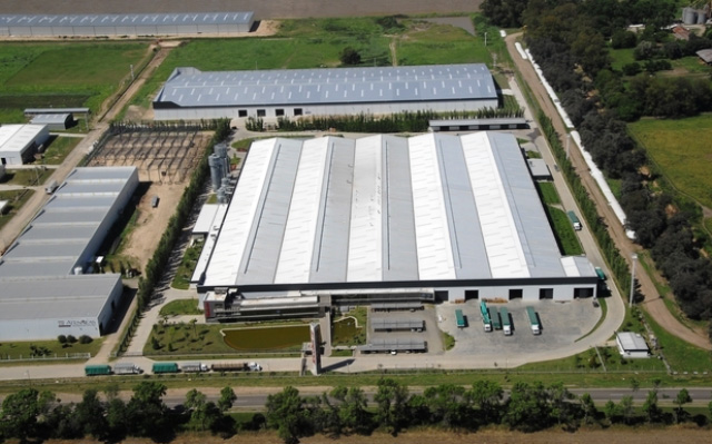 Accedé al artículo completo