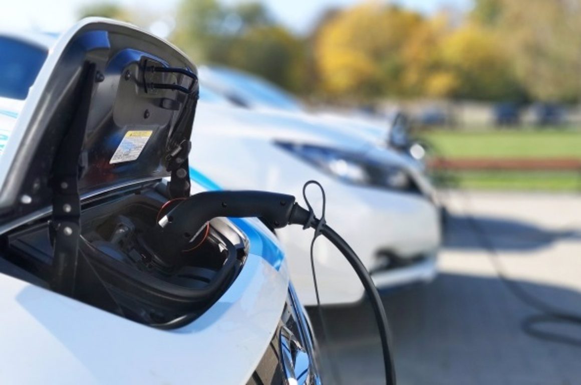 rich text with download pdf