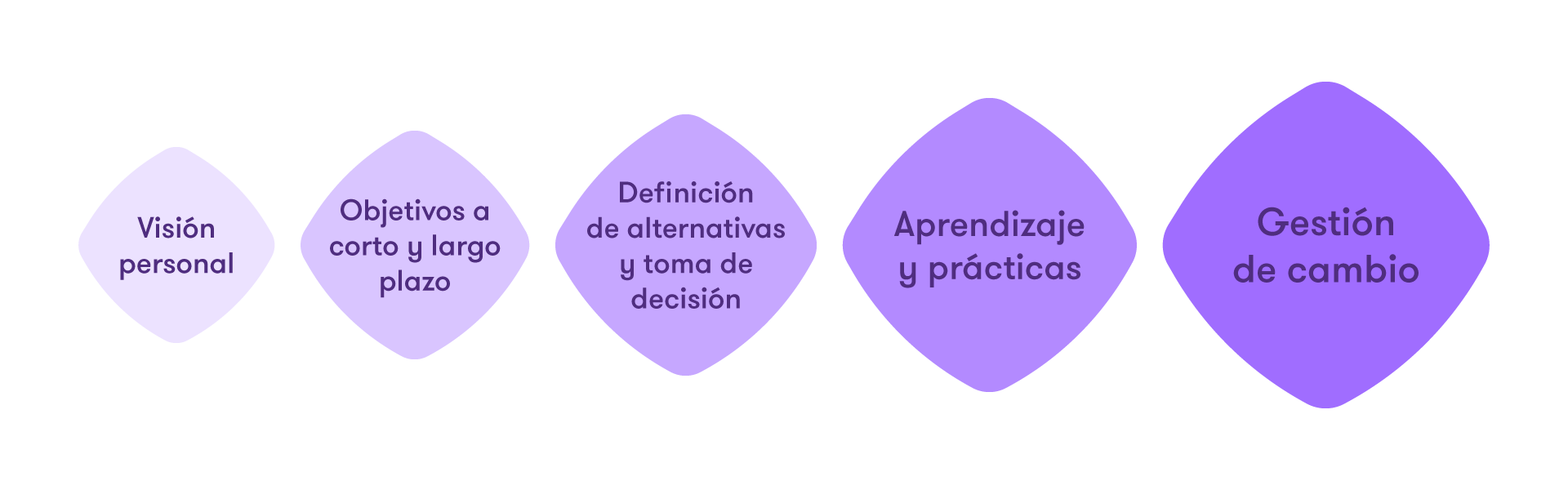 Visión personal, Objetivos a corto y largo plazo, Definición de alternativas y toma de decisión, Aprendizaje y prácticas, y Gestión del cambio
