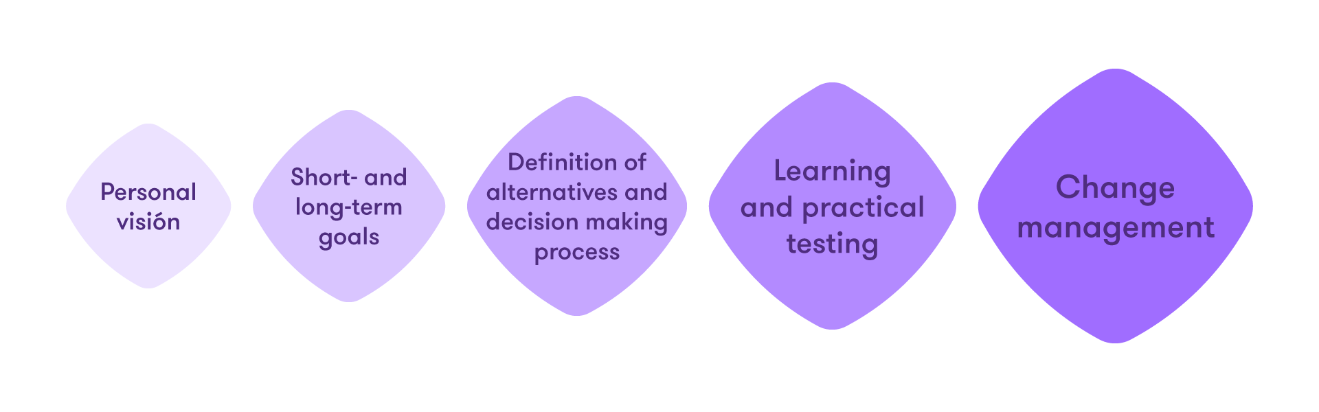 Our model combines Personal vision, Short- and long-term goals, Definition of alternatives and decision making process, Learning and practical testing, and Change management
