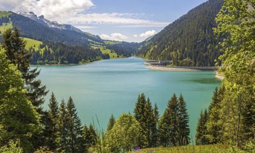 rich text with download pdf