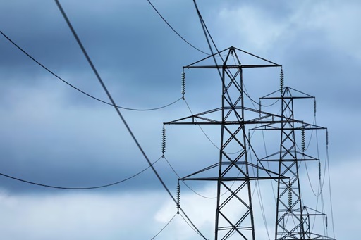 Accedé al artículo completo