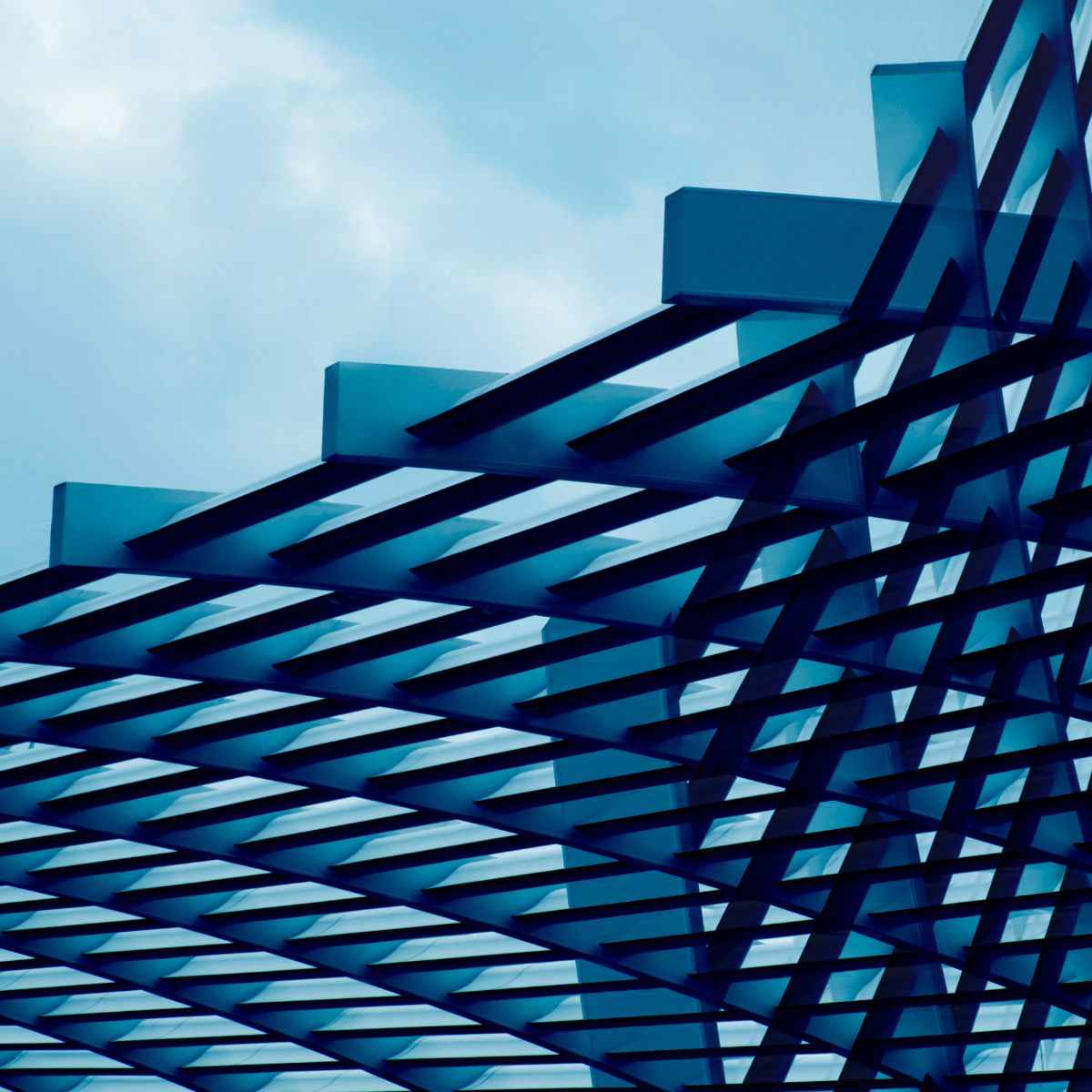 Prosperar en medio de la disrupción