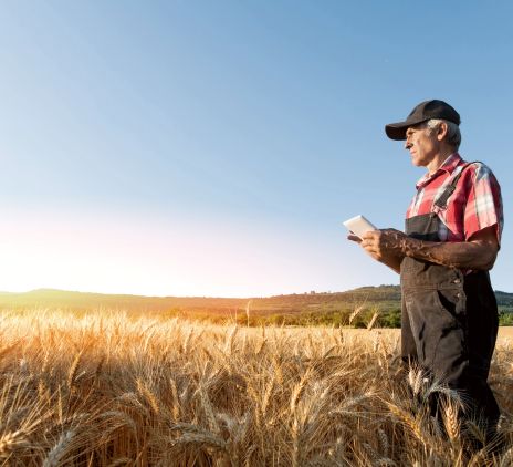 Agricultural emergency 2023: How do we continue after the drought?