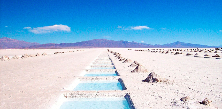 rich text with download pdf