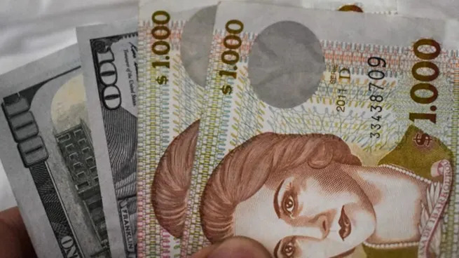 rich text with download pdf