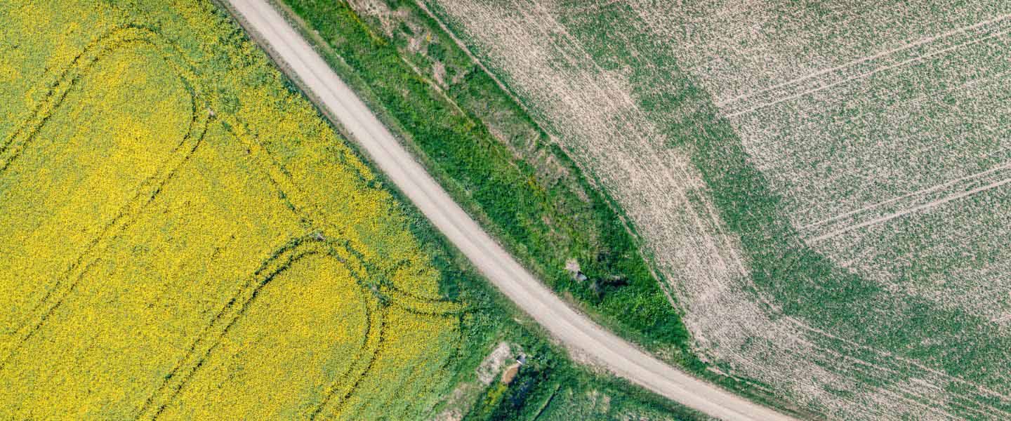 insight featured image