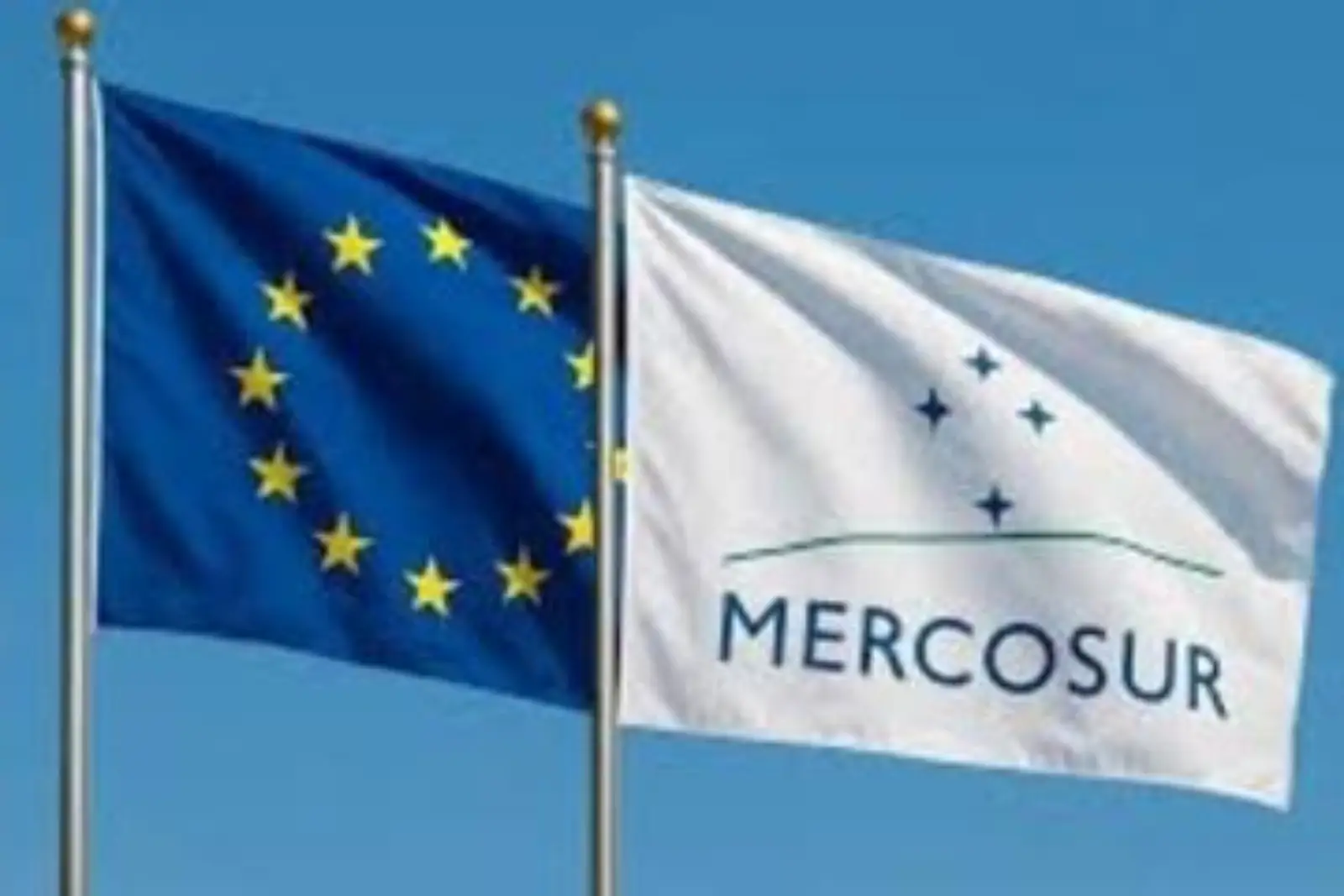 Accedé al artículo de Mercado