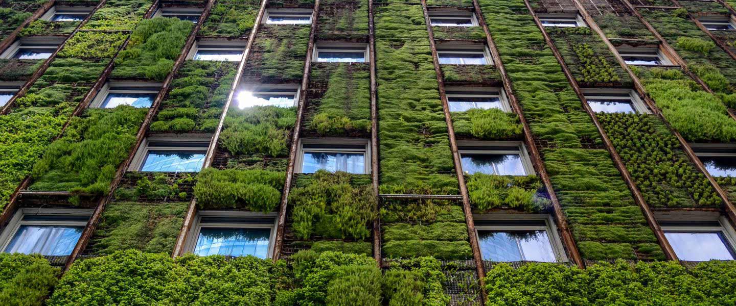 insight featured image