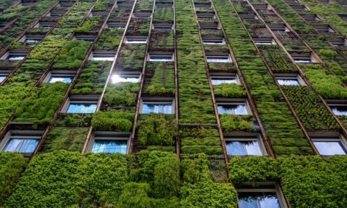 Continúan las negociaciones para reducir los requisitos de reporte