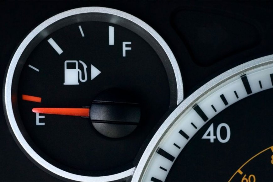 rich text with download pdf