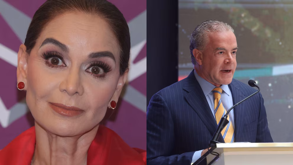 Accedé al artículo completo