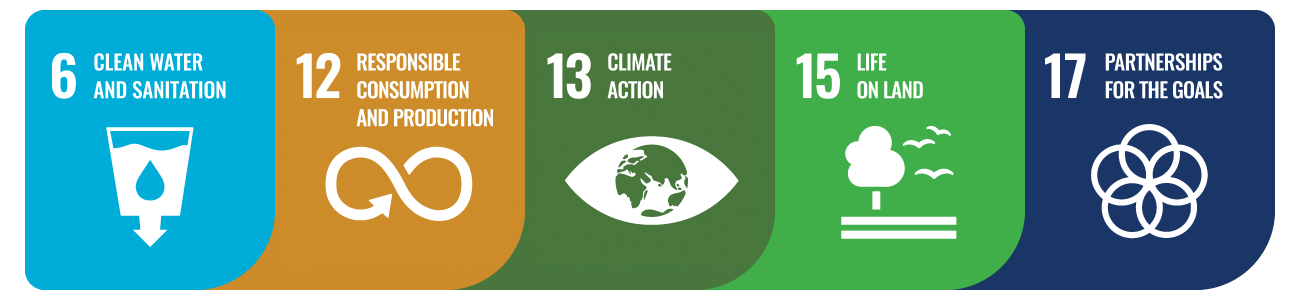 SDG 6, 12, 13, 15 and 17 includes water problems