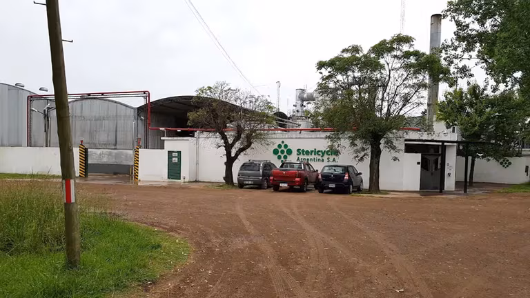 Accedé al artículo completo