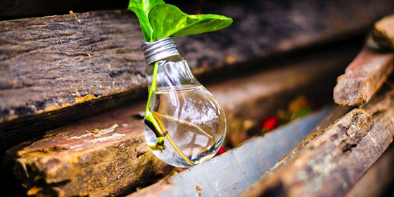 Accedé al artículo completo