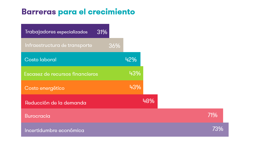 Barreras para el crecimiento
