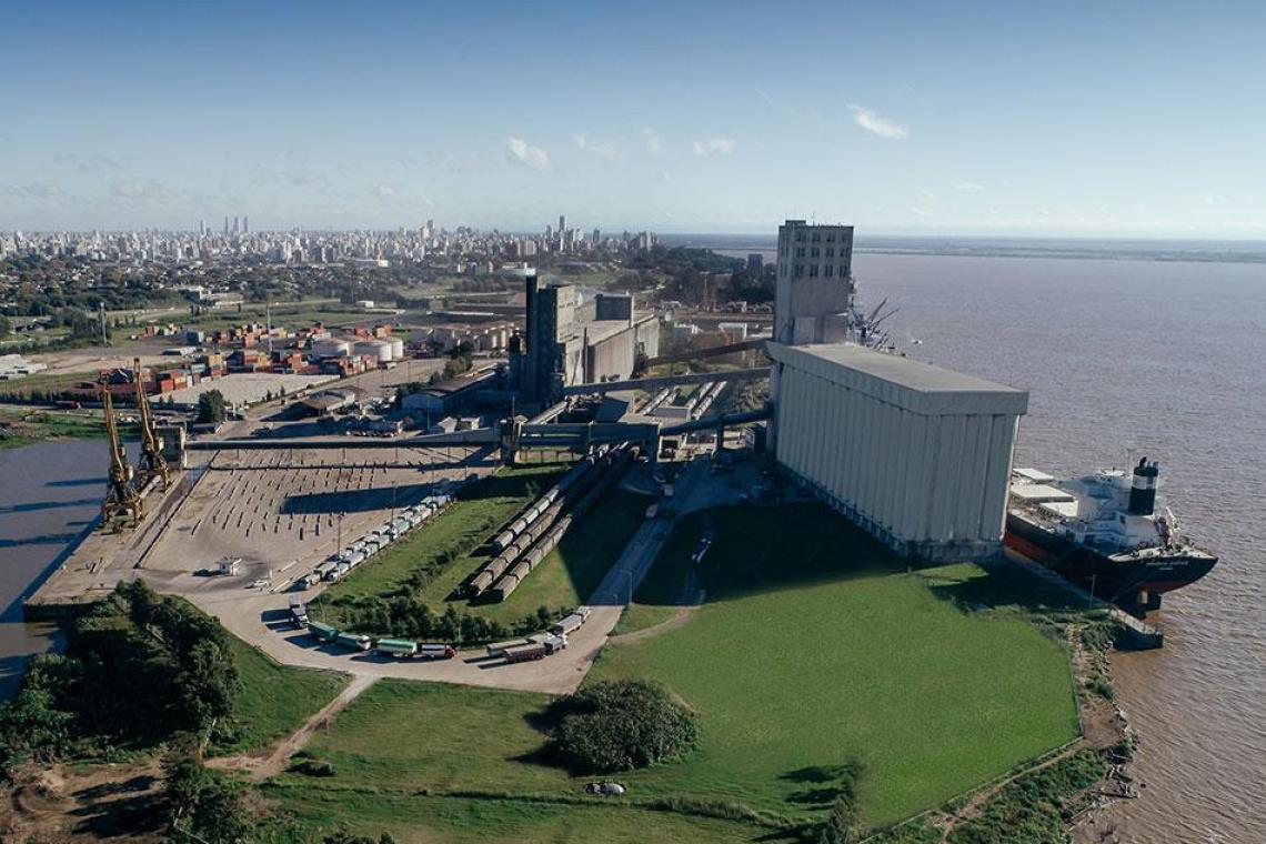 Accedé al artículo completo