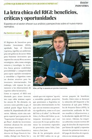 Accedé al artículo completo