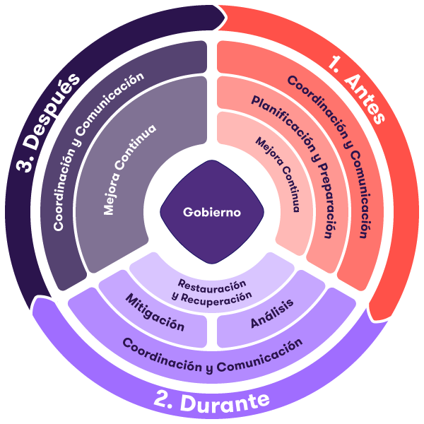 Gráfico de los lineamientos RRCI propuestos por el Banco Central de la República Argentina.