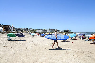 rich text with download pdf