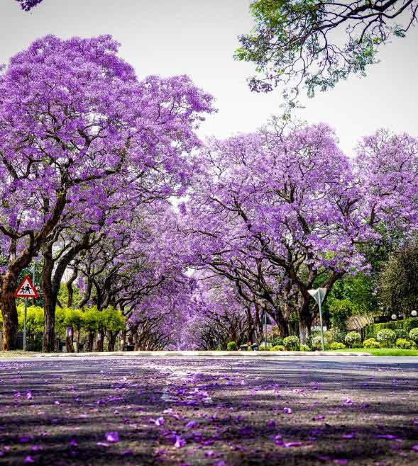 6 de cada 10 empresarios del mercado medio son optimistas