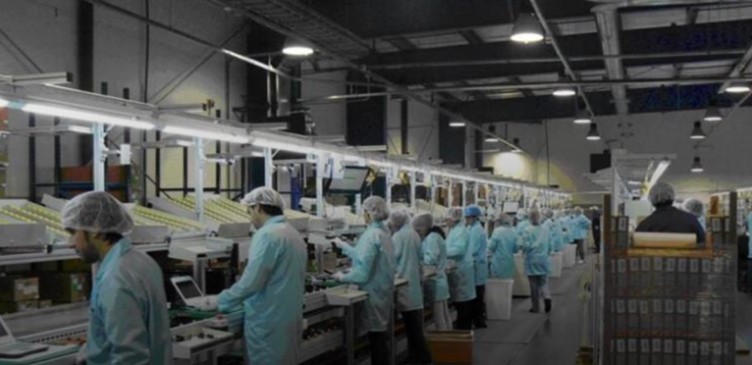 rich text with download pdf