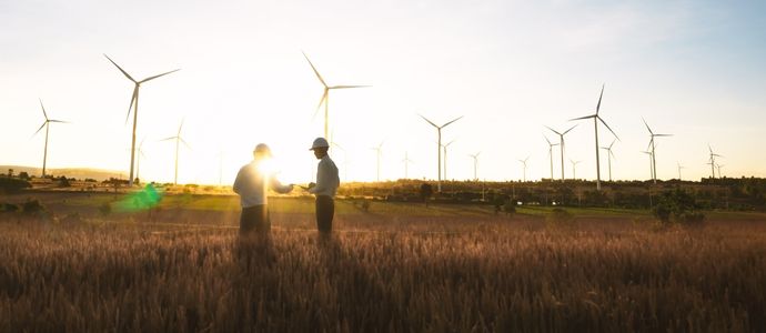 insight featured image