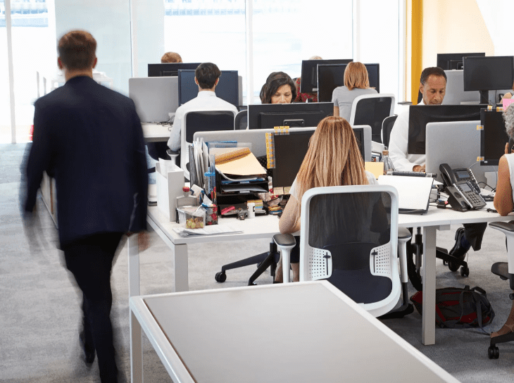 rich text with download pdf